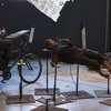 120b 006_Carabosse_Résidence_Atelier231_nov2017_1996.jpg